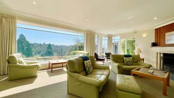 TV, fireplace, DVD player