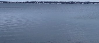 Quaint cottage one block from water