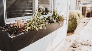 Una jardinera con diversas plantas y un pequeño banco de madera.