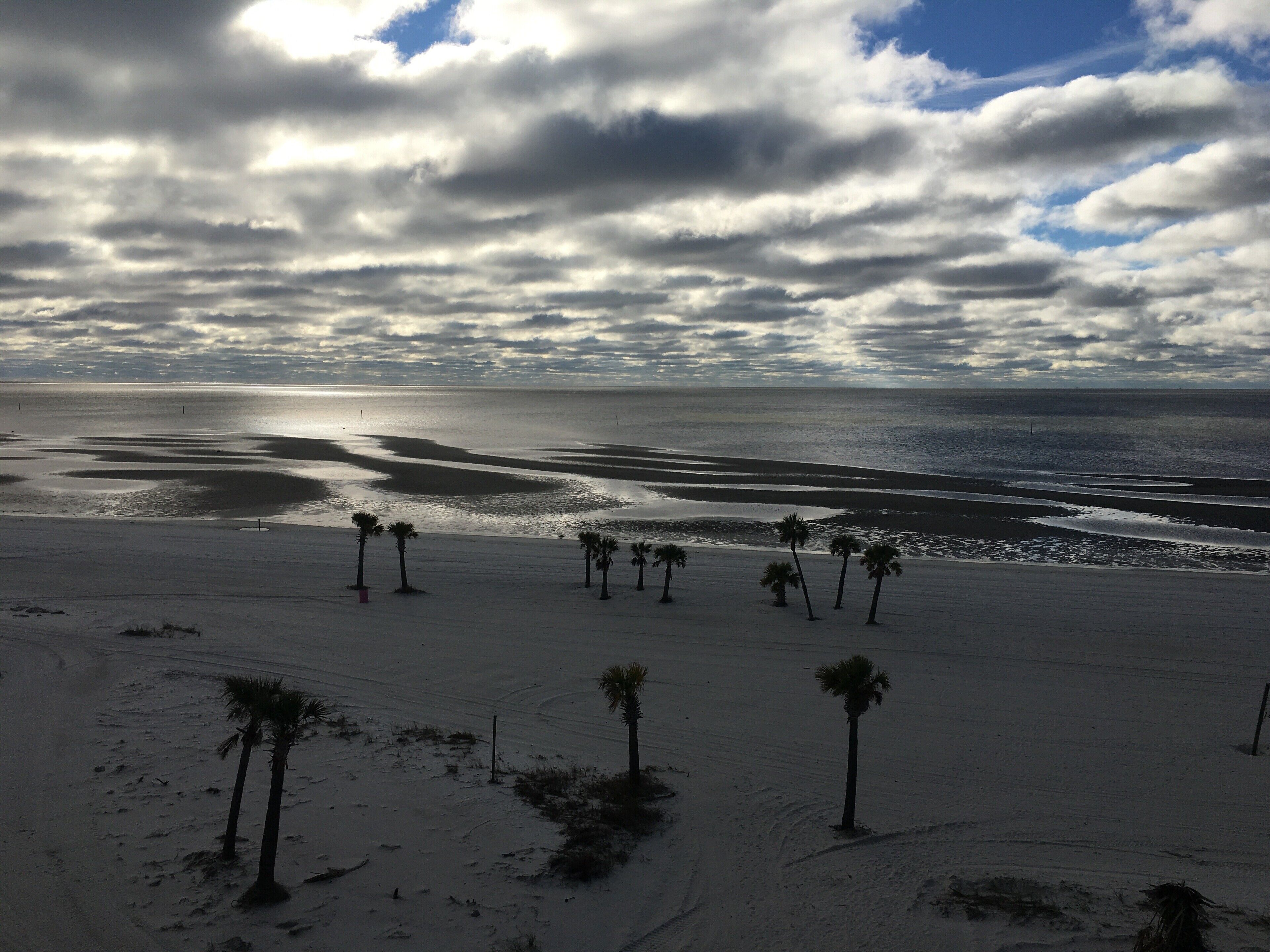Una playa con palmeras y vista al océano bajo un cielo nublado.