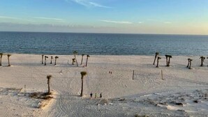 Ein Strand mit blauem Himmel, Palmen und dem Meer.