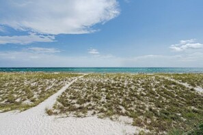 A beach with sand and sparse vegetation, a clear sky, and a calm sea.