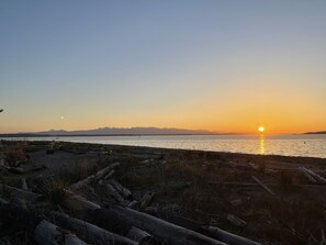 Une plage avec des troncs d’arbres et de l’herbe au premier plan, une mer calme et des montagnes à l’horizon.