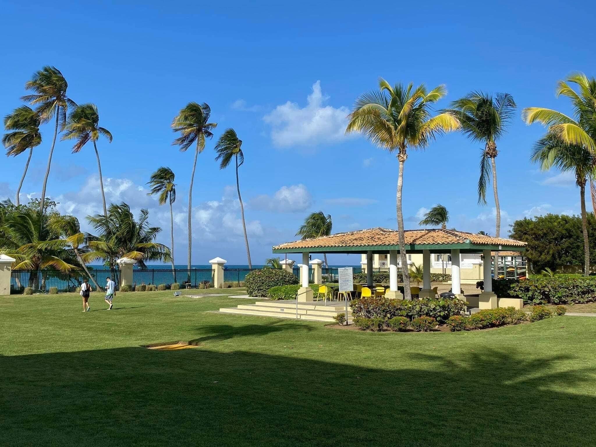 A well-maintained lawn with a gazebo and palm trees.