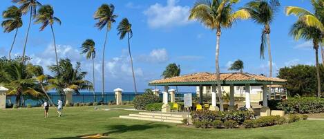 A well-maintained lawn with a gazebo and palm trees.