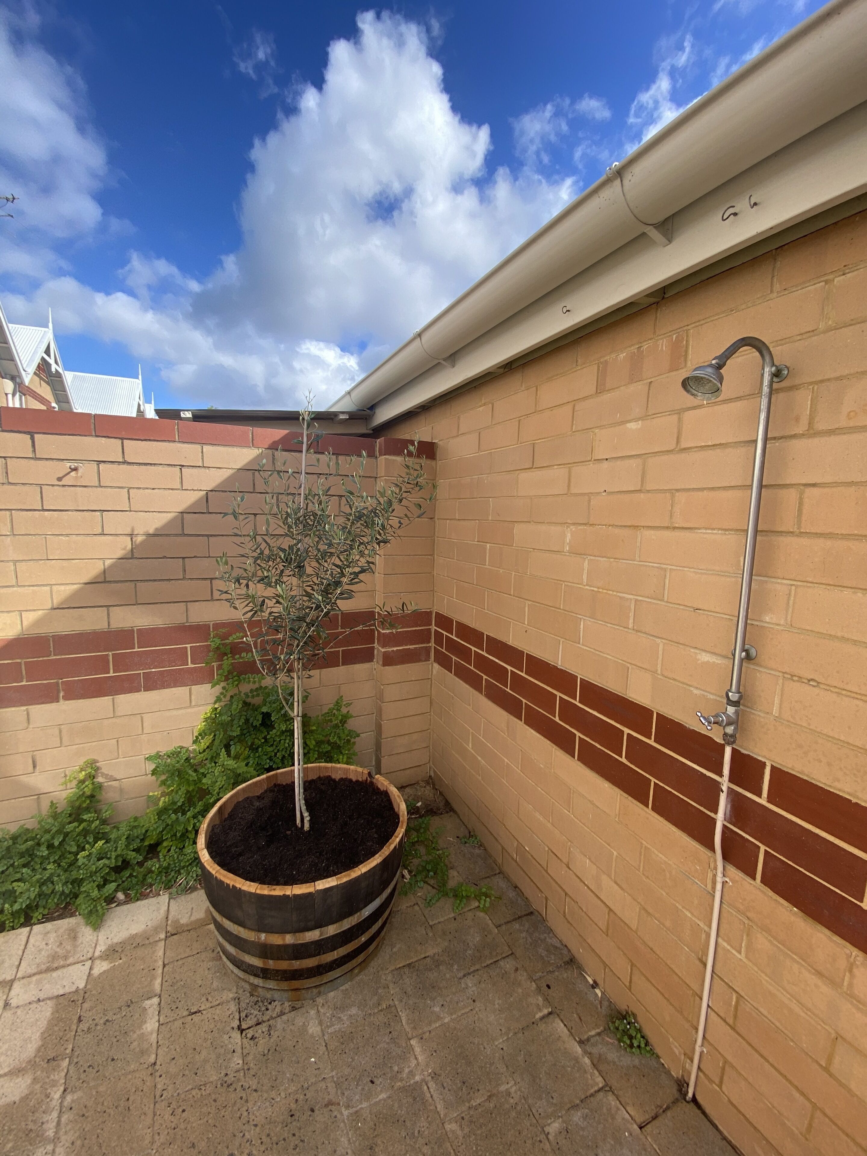 La Stellina — image 4