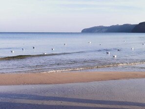 Imagen sin descripción, 4 de 47, botón