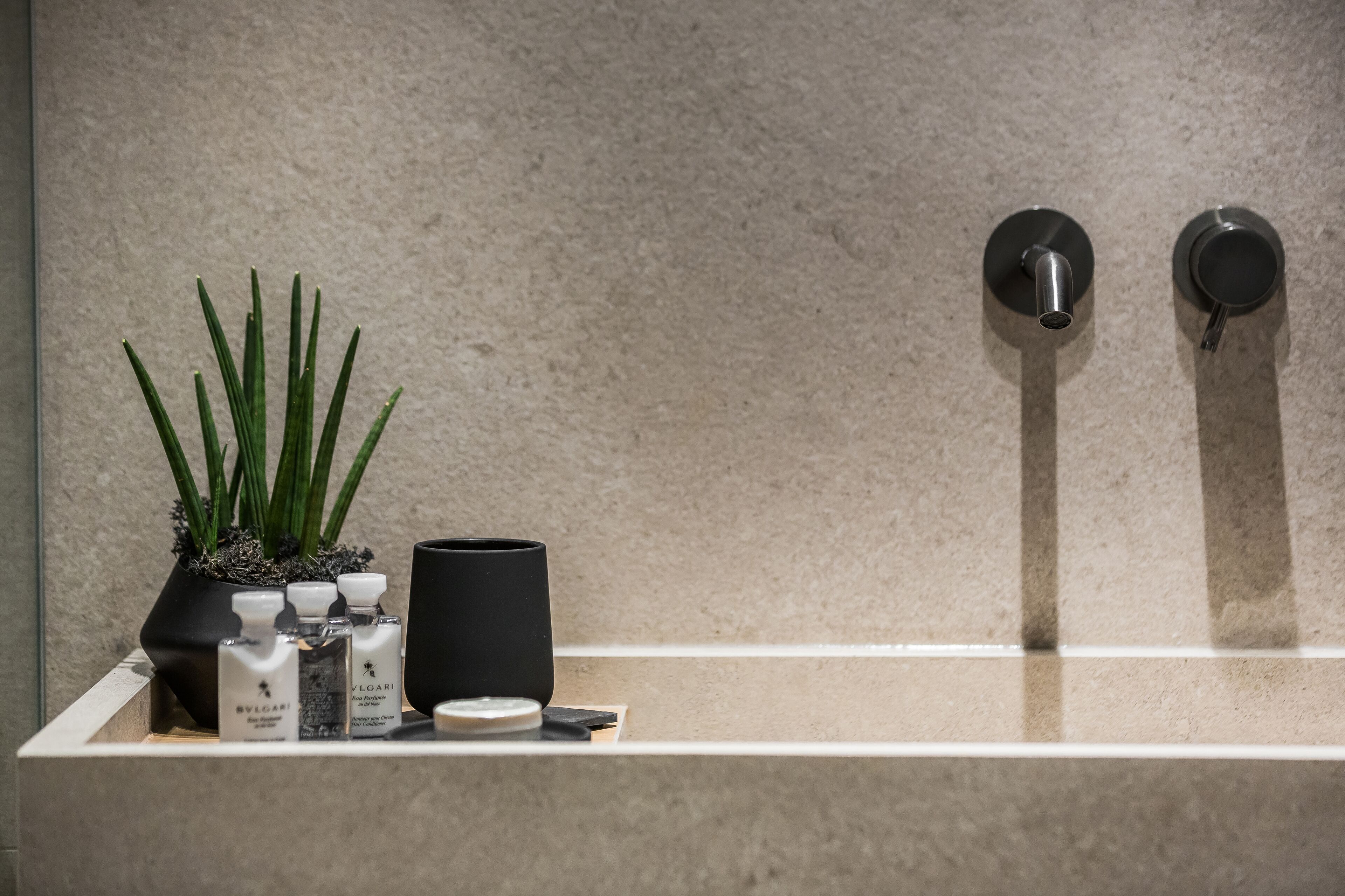 A bathroom with a sink, a potted plant, and toiletries.