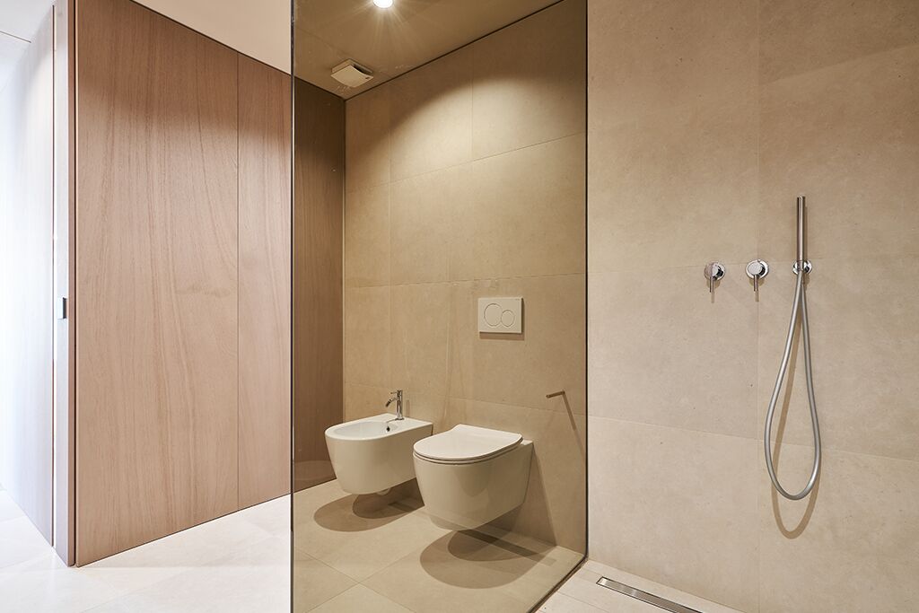 Shower, hair dryer, bidet, towels