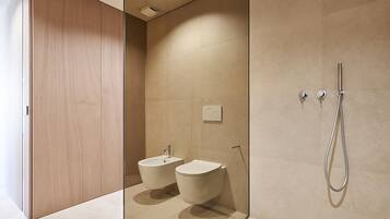 Shower, hair dryer, bidet, towels