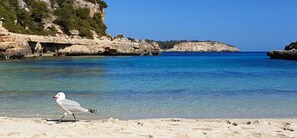 Playa en los alrededores 