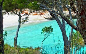 Playa en los alrededores 