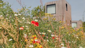 A modern building with a wooden facade and large windows, surrounded by a field of wildflowers. - Luxury Lodge With Roof Terrace, Near Maastricht (Gulpen)