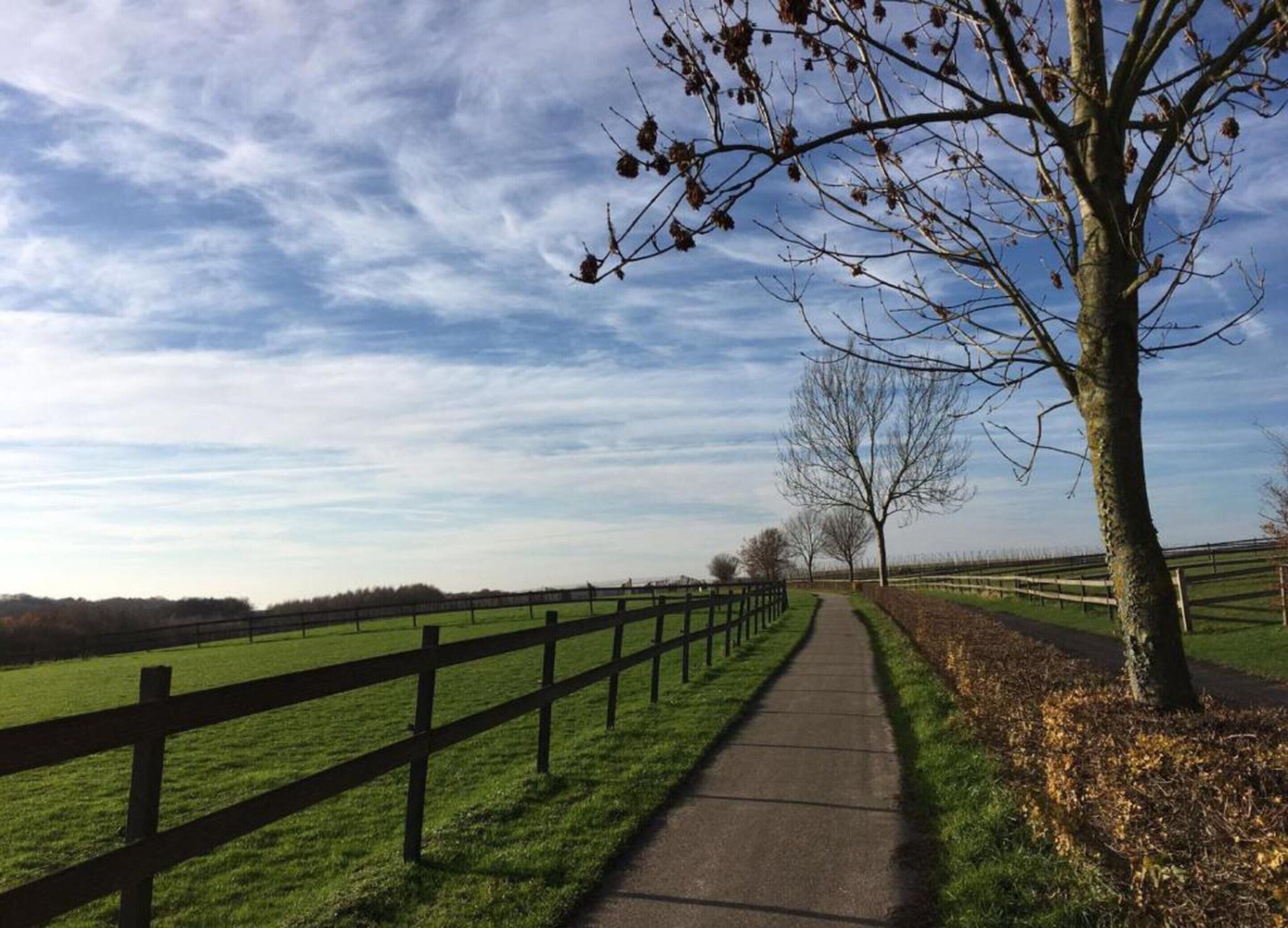 Een landweg langs houten hekken en bomen, leidend naar een verre bosrand.