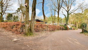 Unclassified image, 2 of 40, button - Wooden Holiday Home in Meijel With Private Garden (Meijel)