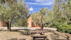 A picnic table in a sunny outdoor area with olive trees and a building in the background. - Pet-friendly Space With Pool (Gambassi Terme)
