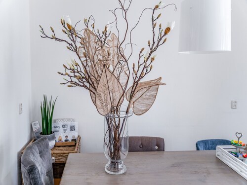 Homely Hideaway in Leeuwarden