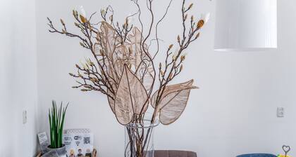 Homely Hideaway in Leeuwarden