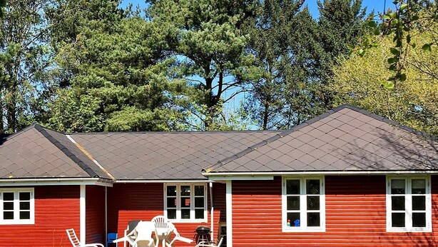 Exterior - Holiday Home in Eskebjerg (Eskebjerg)