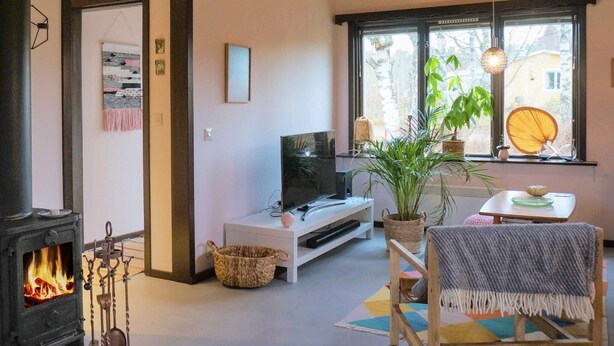 A cozy living room with a fireplace, a television, a potted plant, and a window with a view of trees. - 4 Person Holiday Home in Tibro (Tibro)