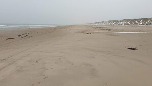 A wide sandy beach with footprints and a distant view of snow-capped hills. - Holiday Home in Saltum (Saltum)