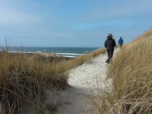 A sandy path with tall grass on either side, leading towards the ocean.