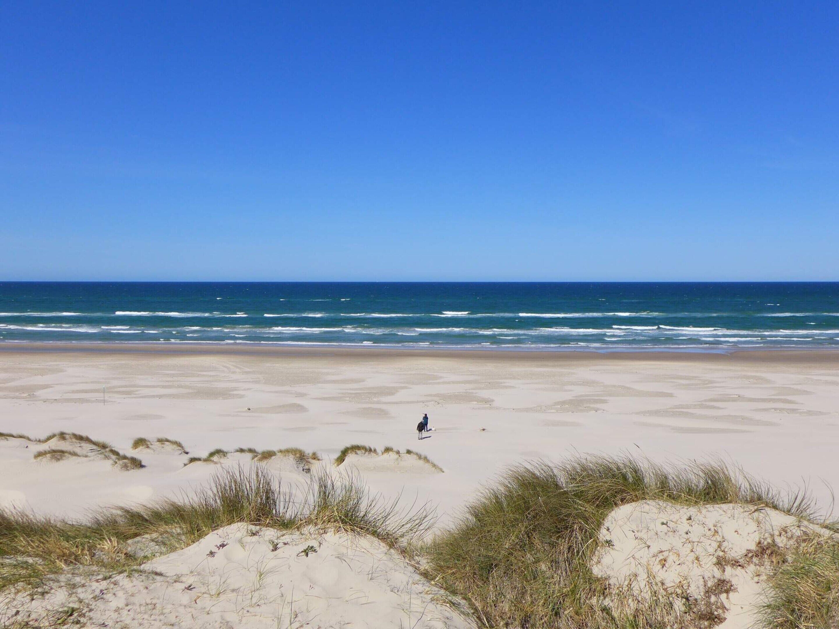 Een strand met duinen en iemand aan het wandelen.