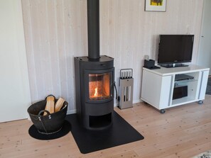 A modern living room with a wood-burning stove, a television on a stand, and a cabinet with shelves.