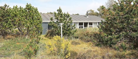 A house surrounded by dense vegetation and a clear sky.