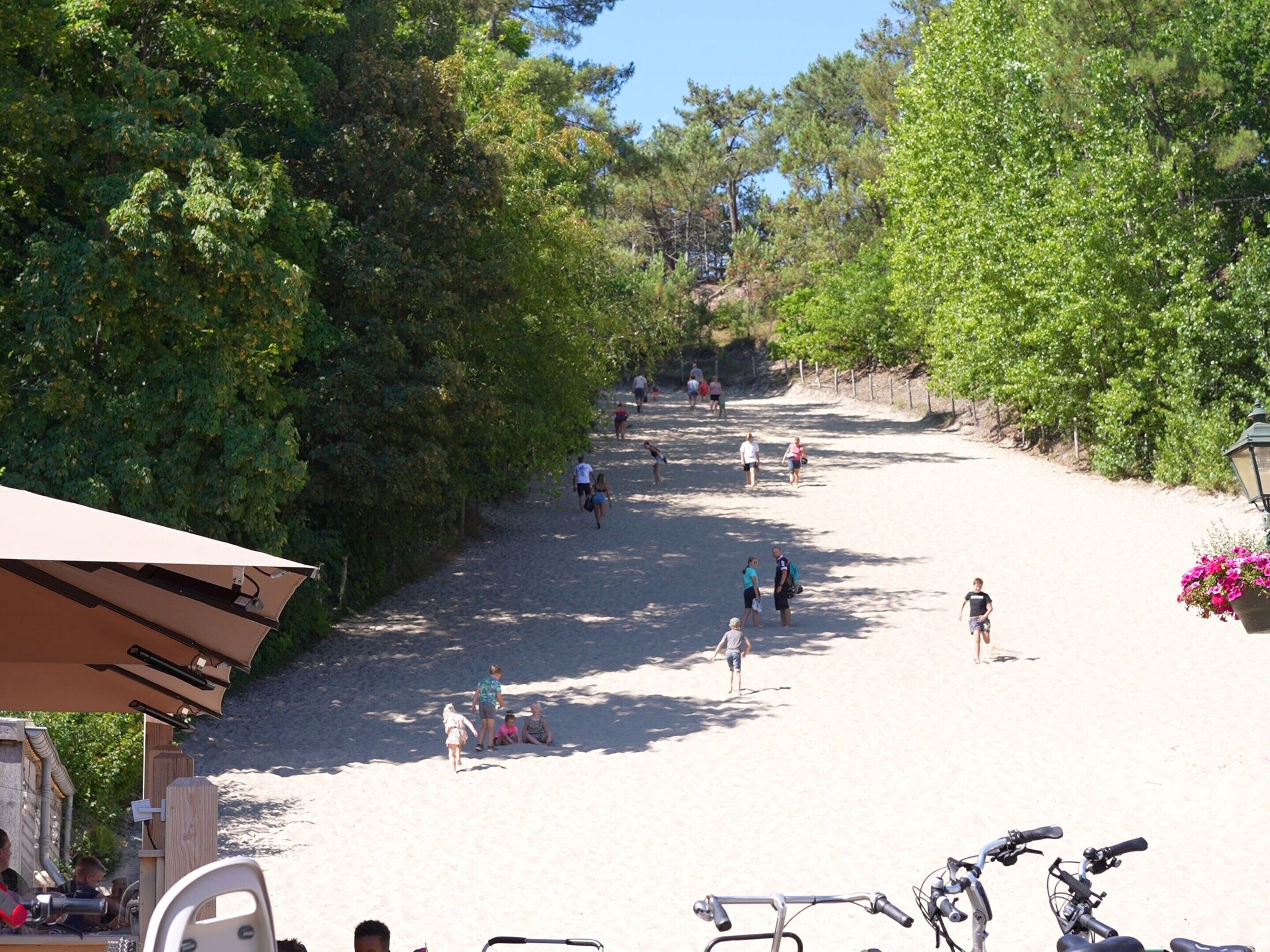 A pathway lined with trees and people walking.