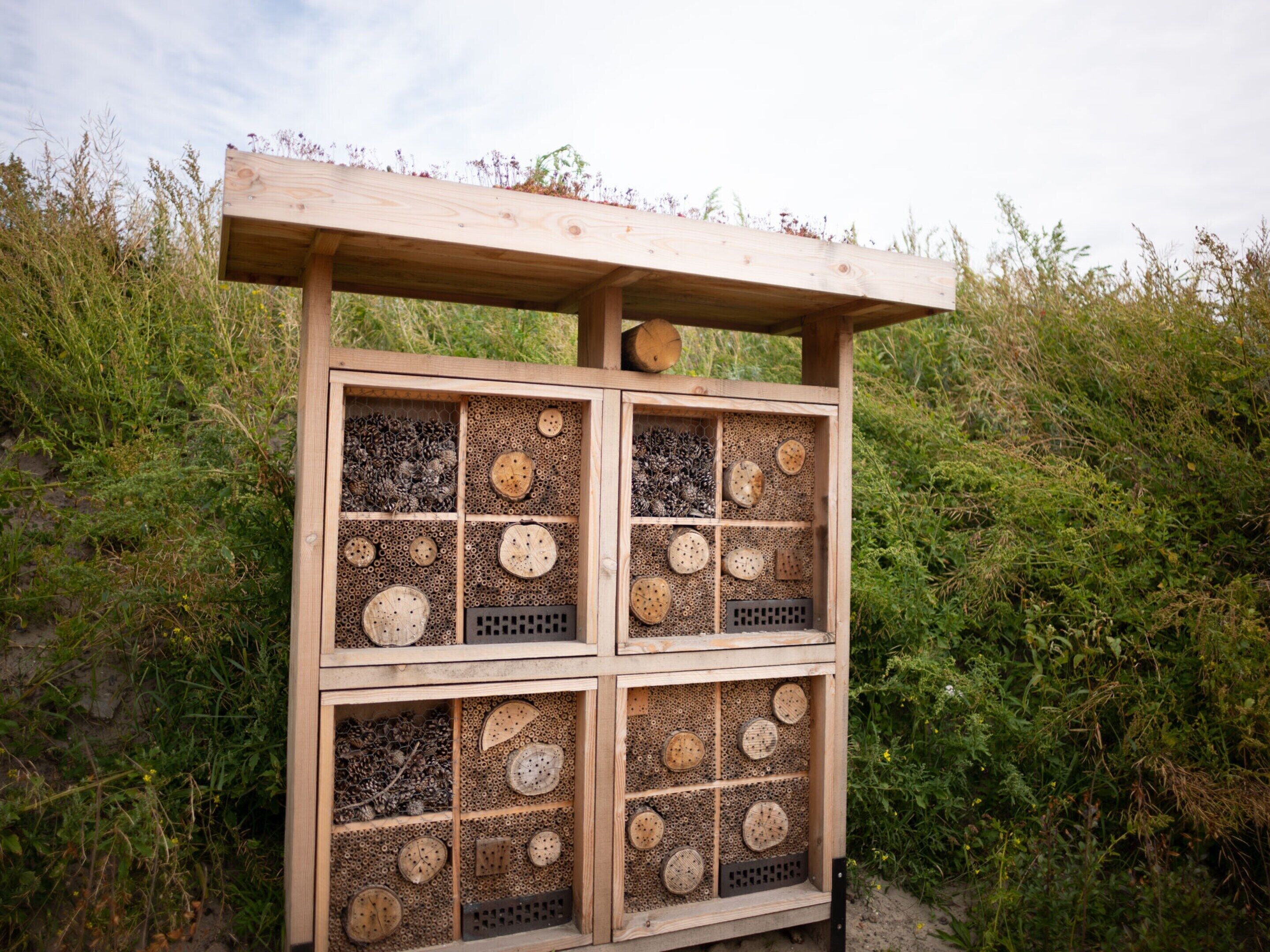 A wooden structure with multiple compartments, likely for beekeeping, surrounded by dense vegetation.