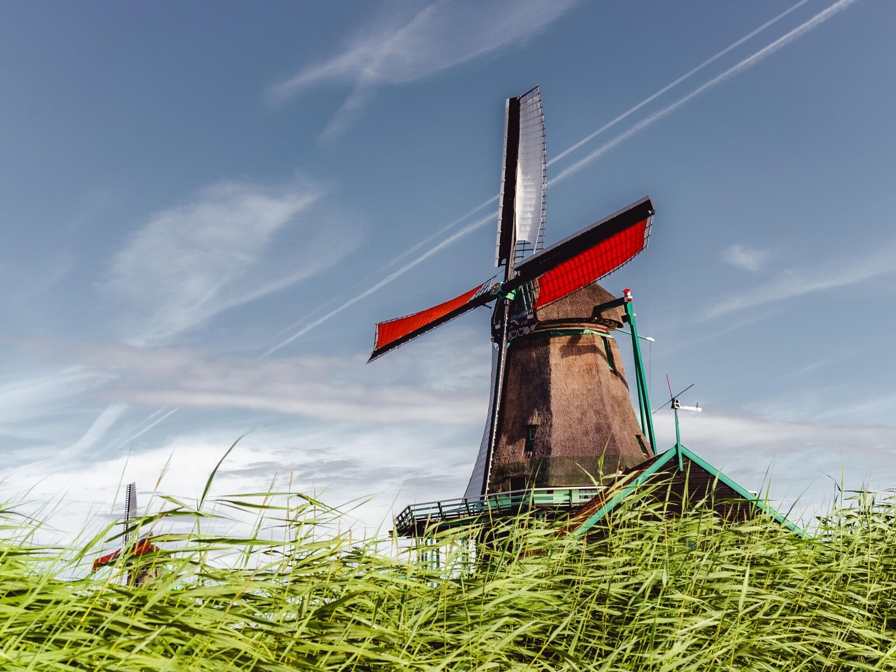 Een windmolen met een rode en zwarte zeil, omringd door hoog gras.