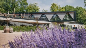 Ein modernes Gebäude mit Glasfassade, einem überdachten Gang und einem Garten mit violetten Blüten.
