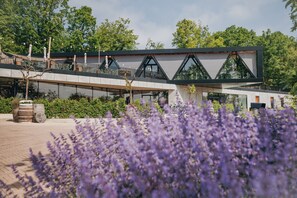 A modern building with a glass facade, a covered walkway, and a garden with purple flowers.