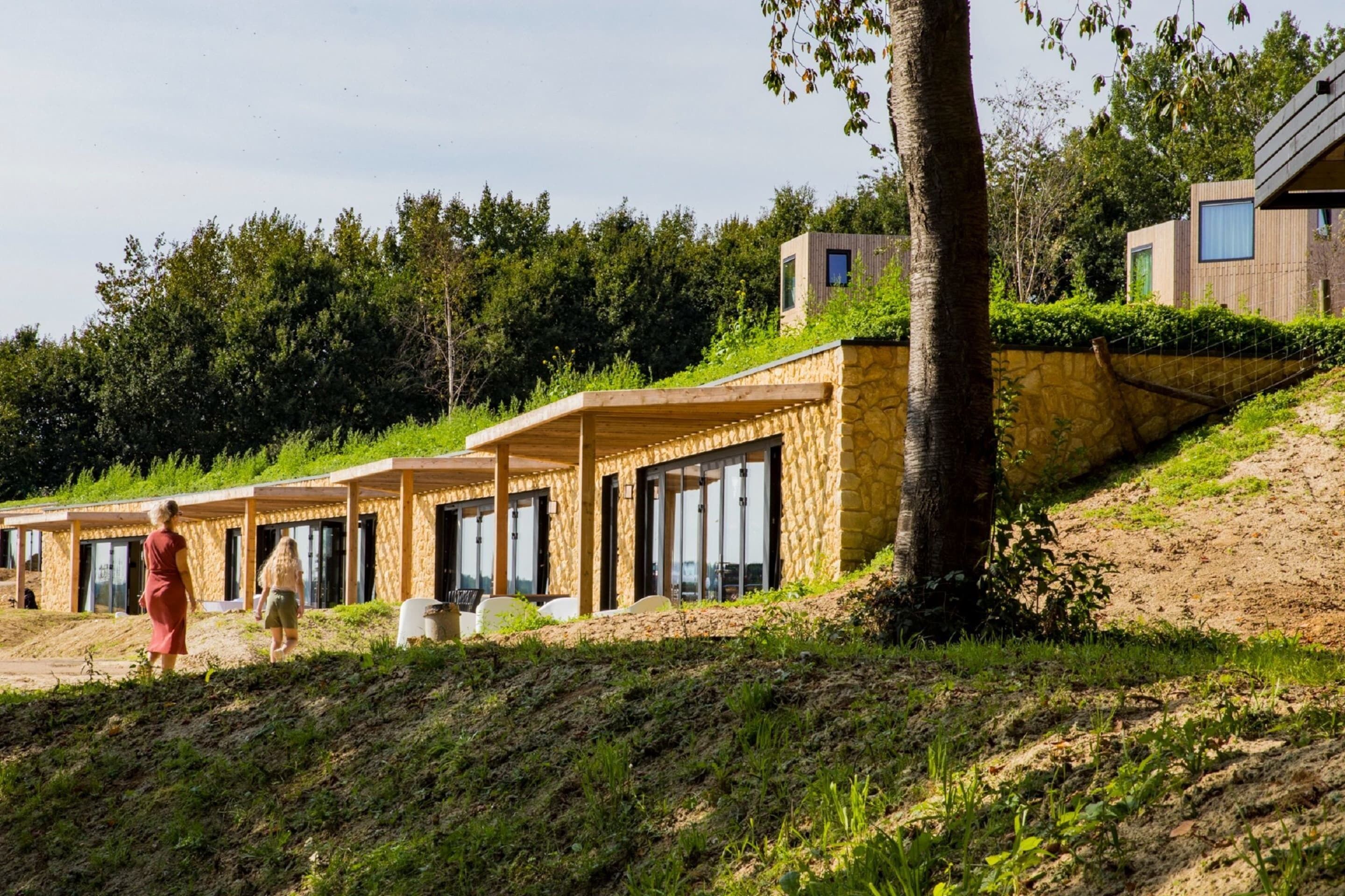 A row of modern cabins with large windows, a grassy slope, and a forested backdrop.