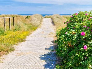 Een verhard pad dat naar het strand leidt, omzoomd met hoog gras en een struik met roze bloemen.