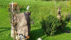 Un décor extérieur rustique comprenant une grande formation rocheuse, un conteneur métallique et un petit arbuste.