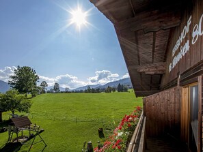 Apartment | View from property - Wooden Apartment With Mountain View (Hopfgarten im Brixental)