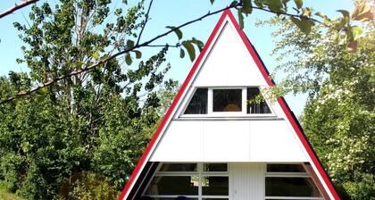 Detached Holiday Home Decorated With Wood, on the Ostsee
