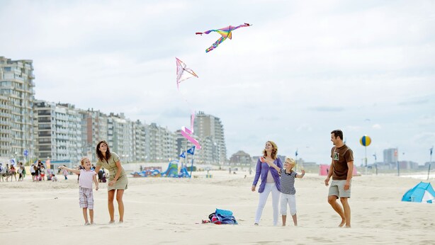 Unclassified image, 1 of 37, button - Modern Holiday With Wellness, Located Near the sea (Koksijde)