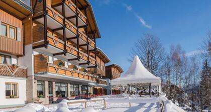 Alluring Holiday Home in Schladming With Terrace