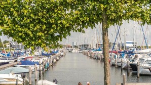 A marina with boats docked along the water's edge, a tree in the foreground, and a paved walkway. - Apartment in Kamperland With Marina Views (Kamperland)
