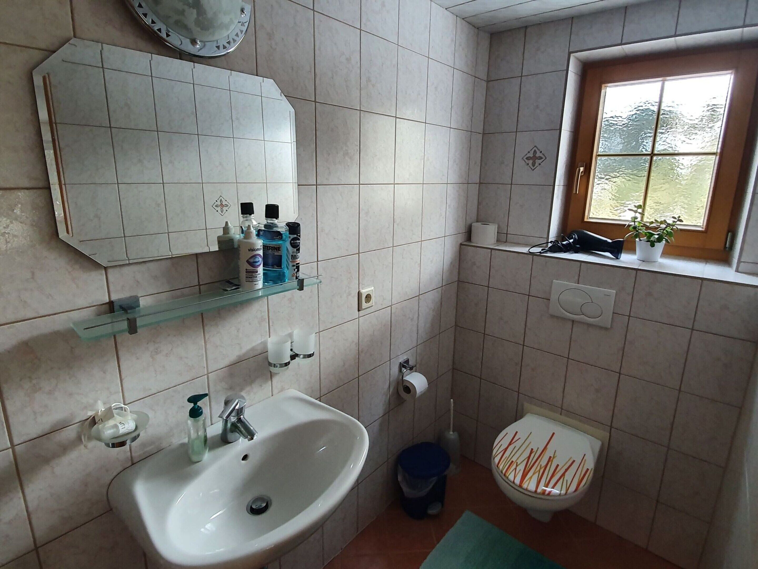 Een badkamer met een wastafel, spiegel, toilet en een raam met uitzicht.