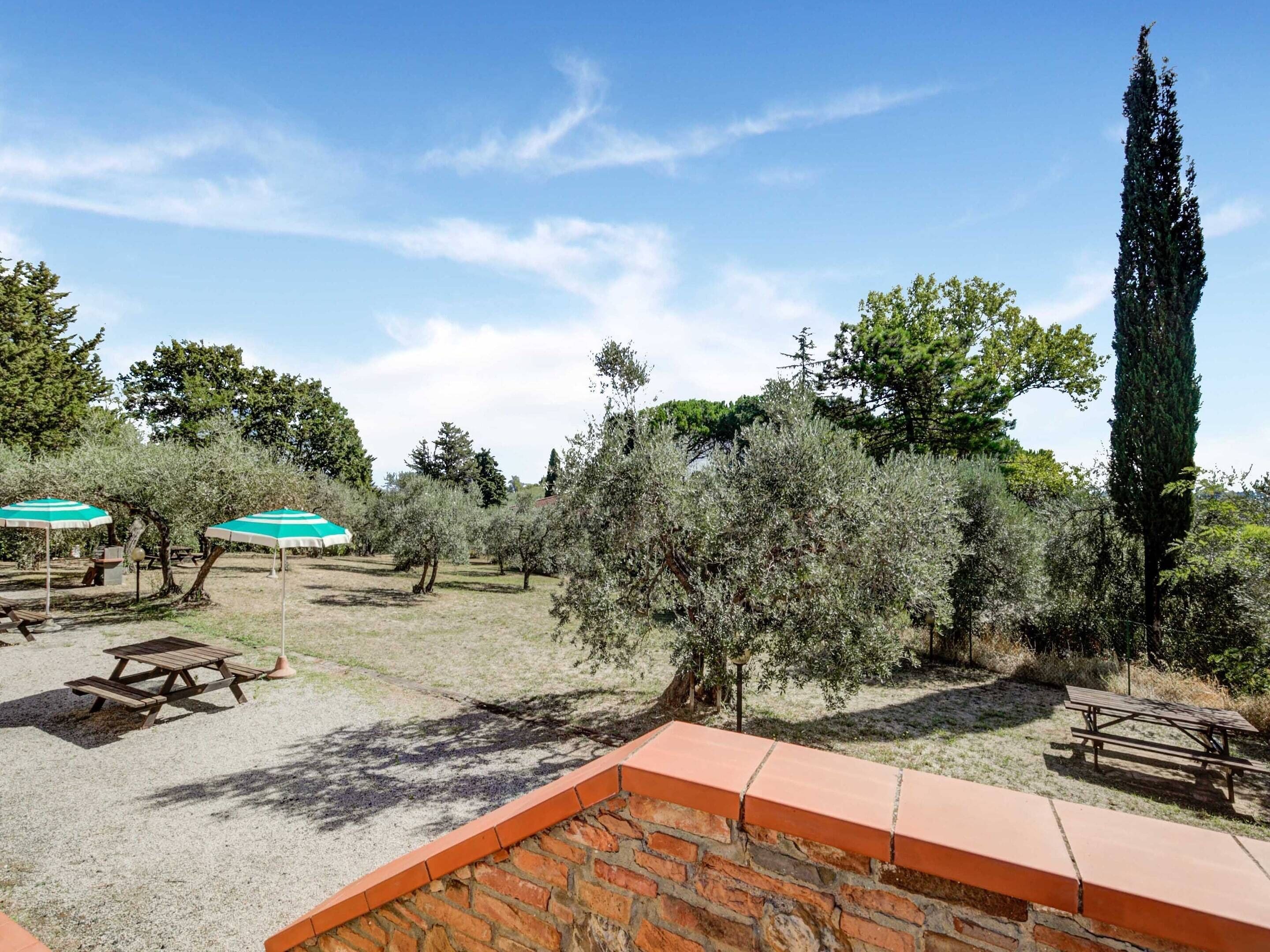 An outdoor area with picnic tables and umbrellas, surrounded by olive trees and a tall cypress tree.