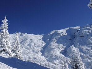 Eine verschneite Berglandschaft mit Bäumen.