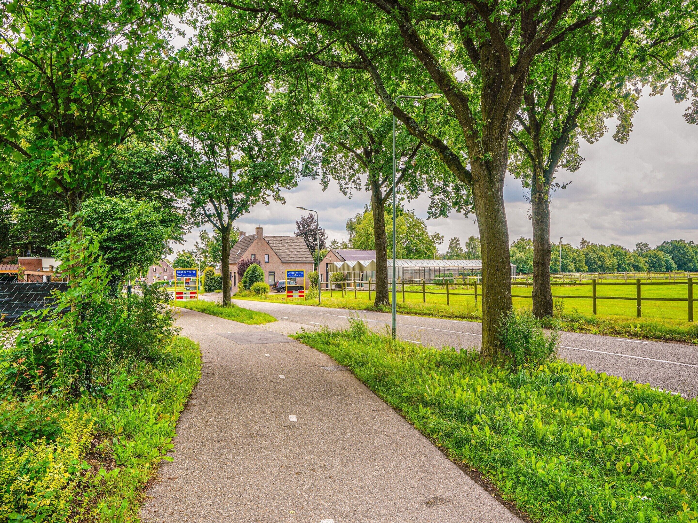 House | View from property