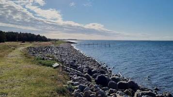 A rocky shoreline with a clear view of the ocean and a distant pier.