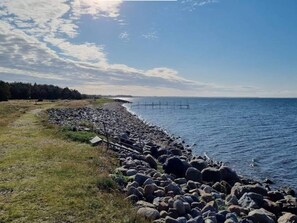 A rocky shoreline with a clear view of the ocean and a distant pier.