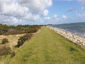 A coastal path with grass, shrubs, and a rocky shoreline. - 6 Person Holiday Home in Hurup Thy (Hurup Thy)
