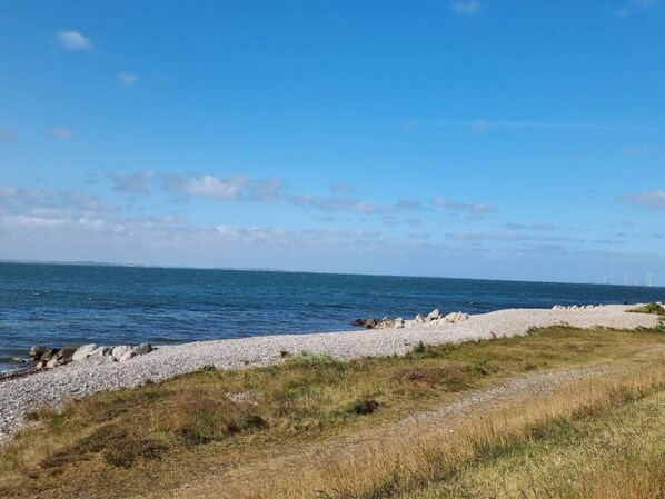 Un paysage côtier avec une plage de galets, des zones herbeuses et un ciel bleu dégagé.